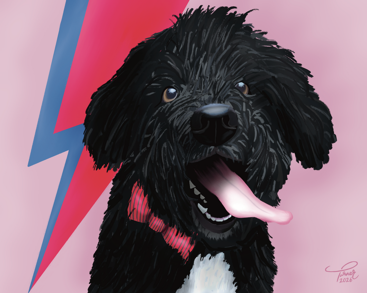 A stylized portrait illustration of a black curly-haired dog with its mouth open, wearing a red striped bow tie, set against a pink background with a blue and red lightning bolt graphic. 